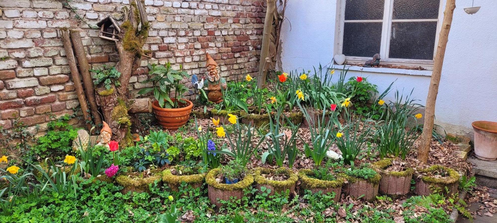 Urlaub Am Rhein, Ferienwohnung Mit Garten 보파르트 외부 사진