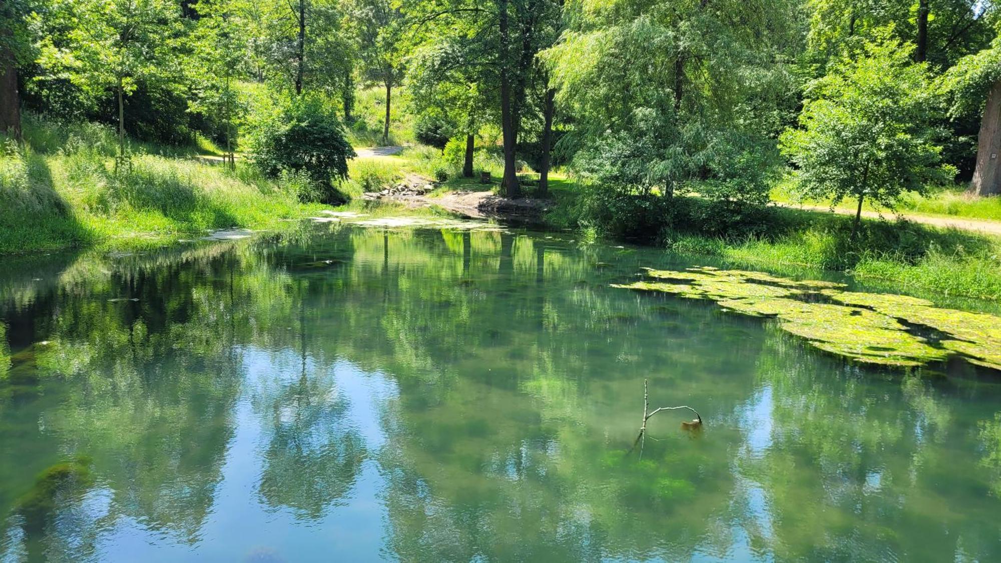 Urlaub Am Rhein, Ferienwohnung Mit Garten 보파르트 외부 사진