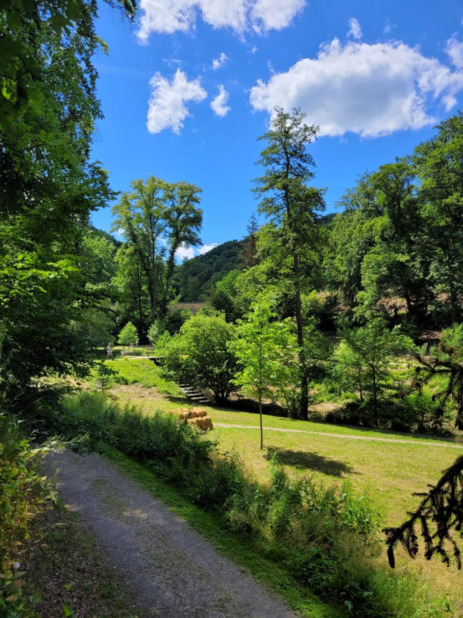 Urlaub Am Rhein, Ferienwohnung Mit Garten 보파르트 외부 사진